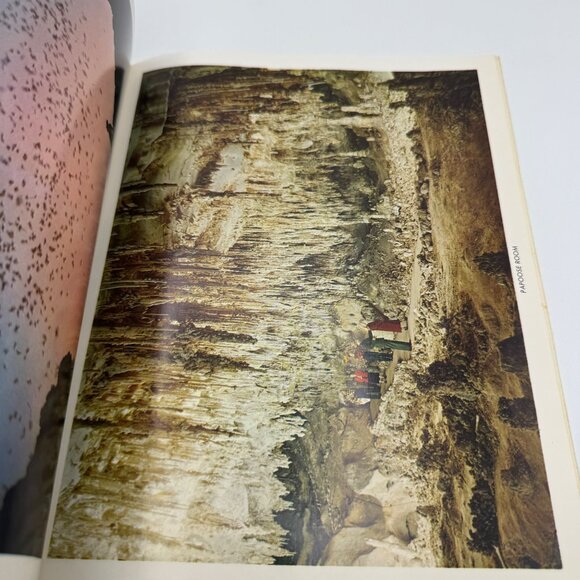 Vintage Carlsbad Caverns National Park Ephemera Set - Brochure Pamphlet & Photo - Picture 5 of 16